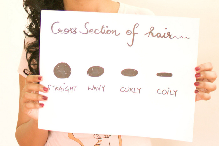 What makes curly hair curly (or straight hair straight) -  CurlsandBeautyDiary