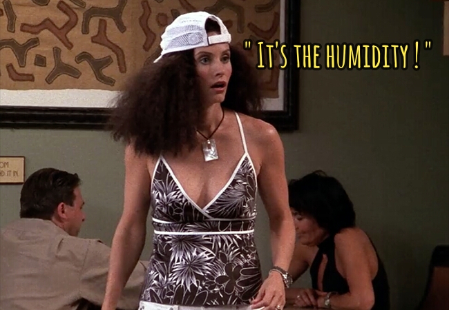 Why does humidity cause frizz? + 6 fixes - CurlsandBeautyDiary