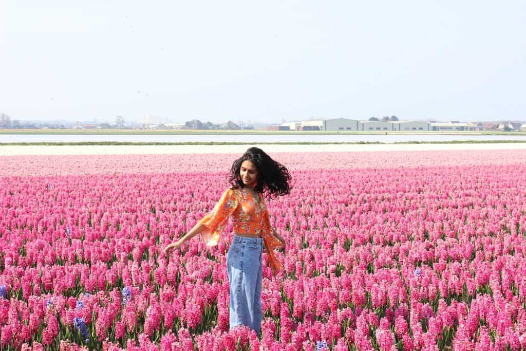 A Guide to Visiting the Flower Fields near Keukenhof, Netherlands - Tulips and more! - image FlowerFields_near_Keukenhof1-1024x683 on https://www.curlsandbeautydiary.com