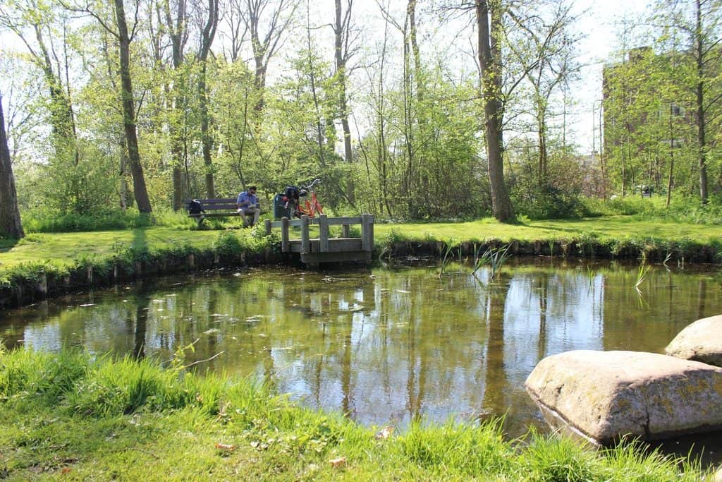 A Guide to Visiting the Flower Fields near Keukenhof, Netherlands - Tulips and more! - image FlowerFields_near_Keukenhof13-1024x683 on https://www.curlsandbeautydiary.com