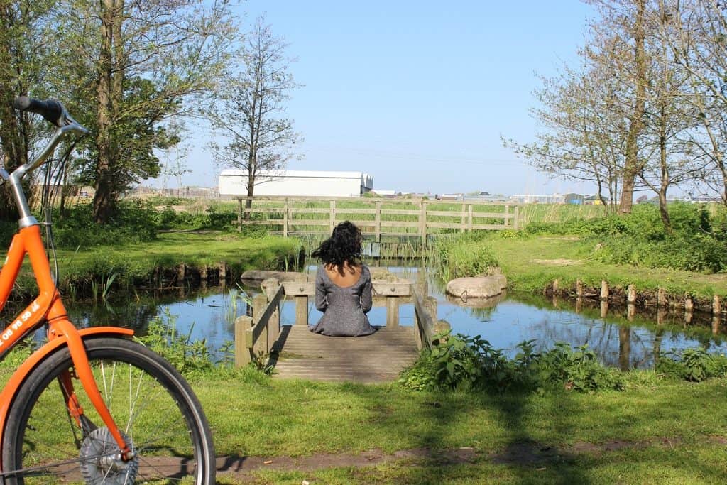 A Guide to Visiting the Flower Fields near Keukenhof, Netherlands - Tulips and more! - image FlowerFields_near_Keukenhof14-1024x683 on https://www.curlsandbeautydiary.com