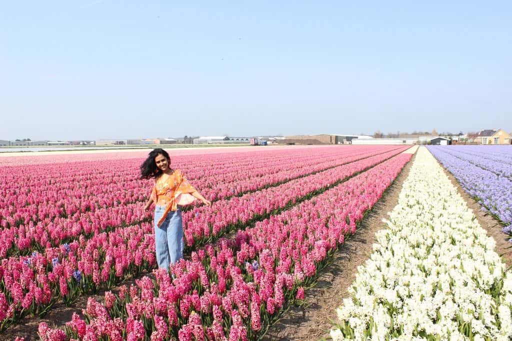A Guide to Visiting the Flower Fields near Keukenhof, Netherlands - Tulips and more! - image FlowerFields_near_Keukenhof2-1024x683 on https://www.curlsandbeautydiary.com