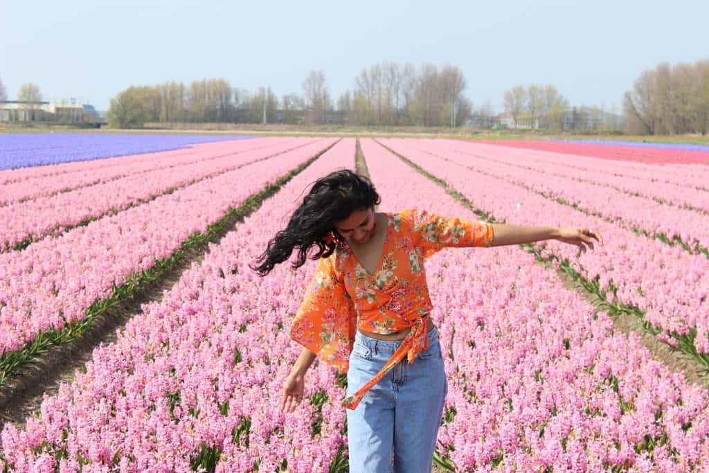 A Guide to Visiting the Flower Fields near Keukenhof, Netherlands - Tulips and more! - image FlowerFields_near_Keukenhof7-1024x683 on https://www.curlsandbeautydiary.com
