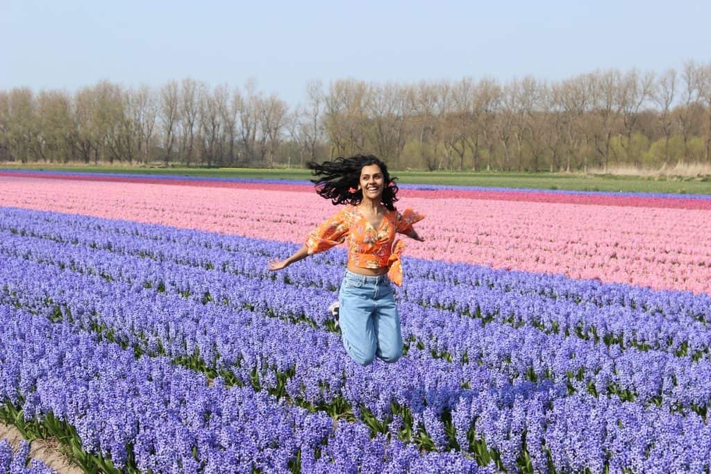 A Guide to Visiting the Flower Fields near Keukenhof, Netherlands - Tulips and more! - image FlowerFields_near_Keukenhof8-1024x683 on https://www.curlsandbeautydiary.com