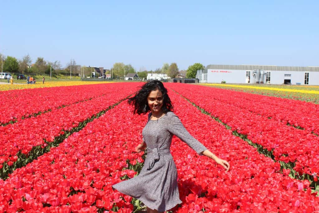 A Guide to Visiting the Flower Fields near Keukenhof, Netherlands - Tulips and more! - image IMG_4022-1024x683 on https://www.curlsandbeautydiary.com