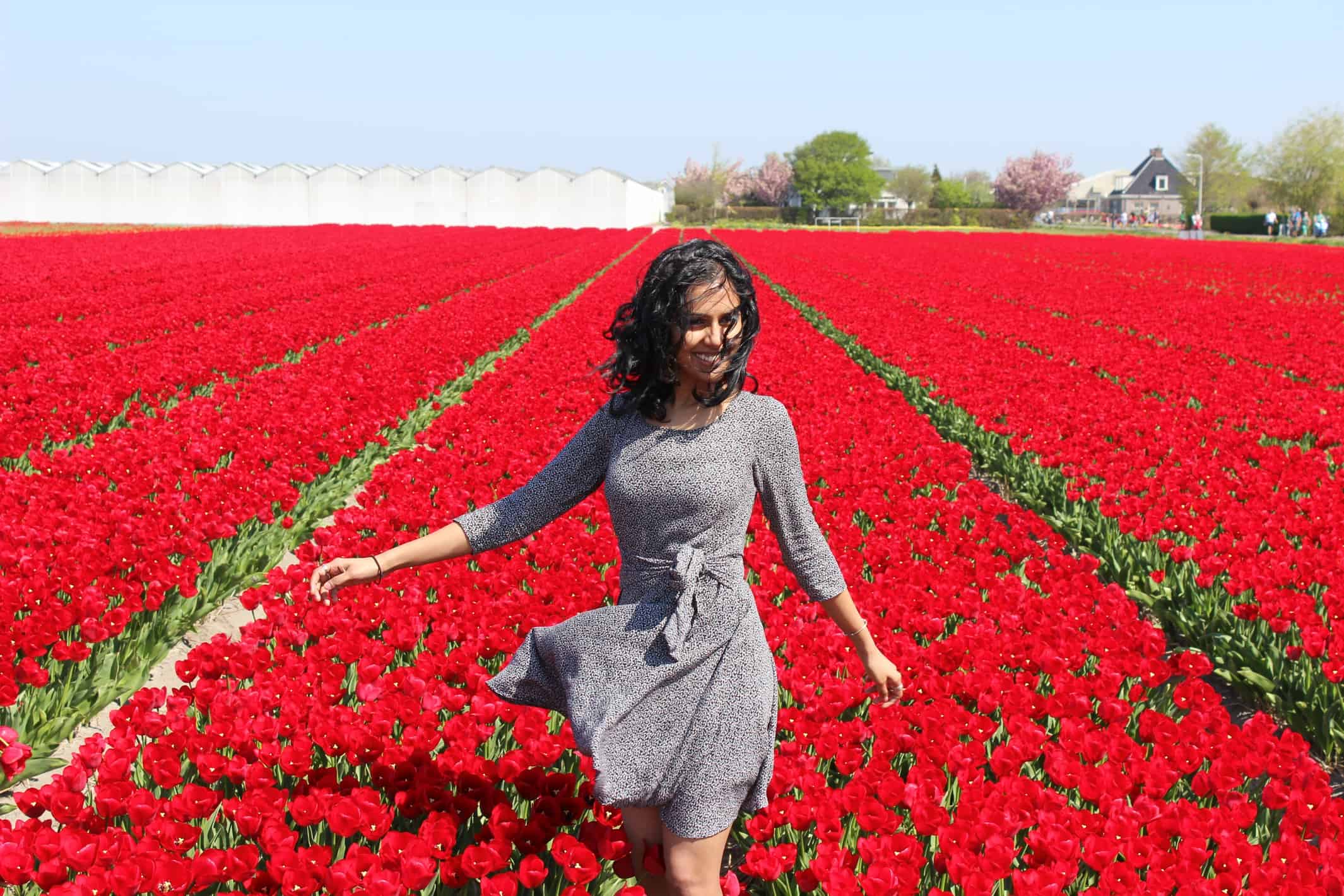 A Guide to Visiting the Flower Fields near Keukenhof, Netherlands - Tulips and more! - image IMG_4037 on https://www.curlsandbeautydiary.com