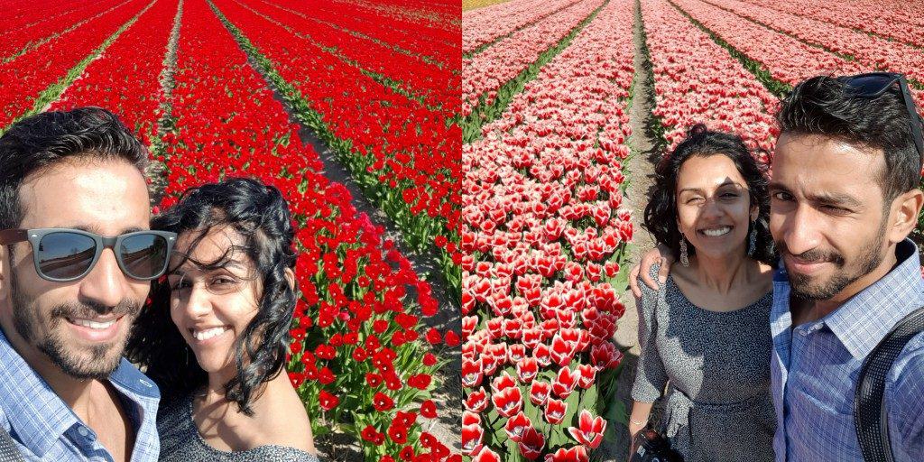 A Guide to Visiting the Flower Fields near Keukenhof, Netherlands - Tulips and more! - image PicsArt_04-20-08.04.21-1024x512 on https://www.curlsandbeautydiary.com
