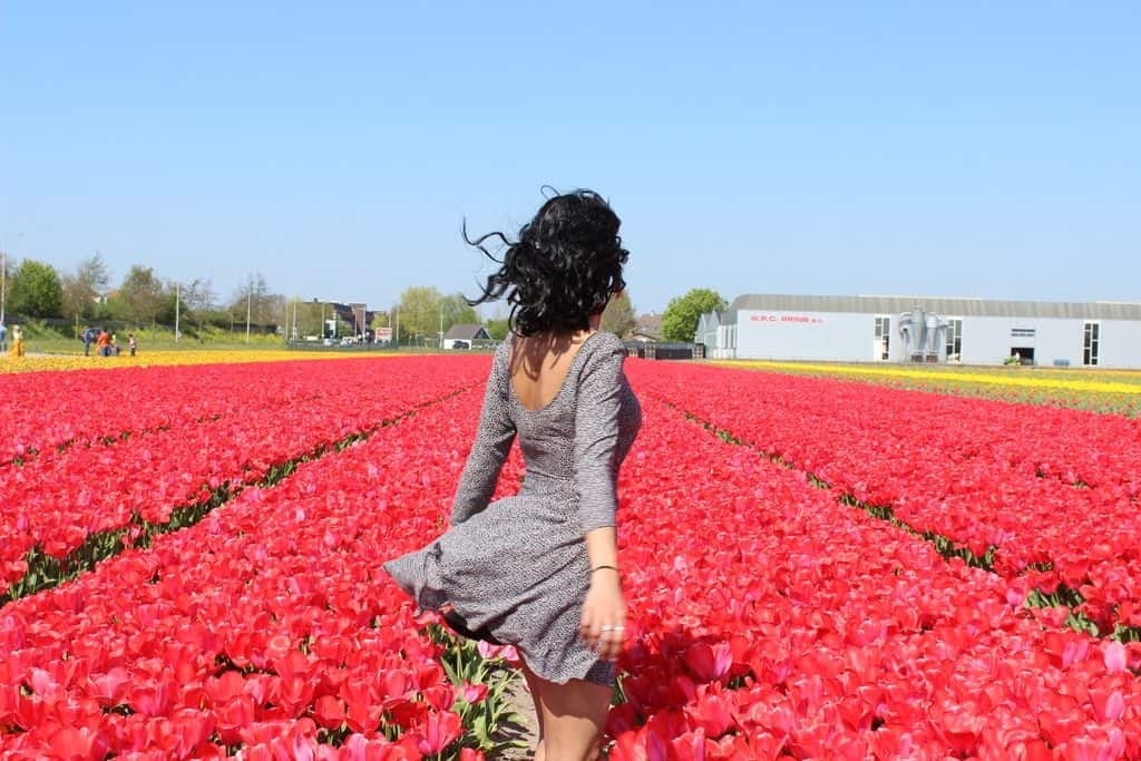 A Guide to Visiting the Flower Fields near Keukenhof, Netherlands - Tulips and more! - image tulips_Keukenhof8-1024x683 on https://www.curlsandbeautydiary.com